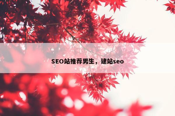 SEO站推荐男生，建站seo