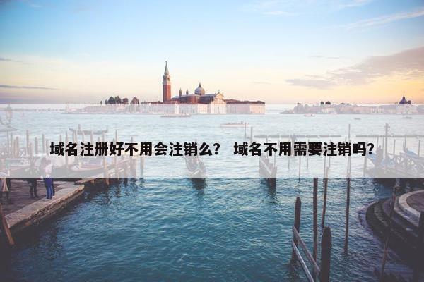 域名注册好不用会注销么？ 域名不用需要注销吗？