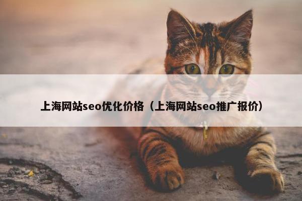 上海网站seo优化价格（上海网站seo推广报价）