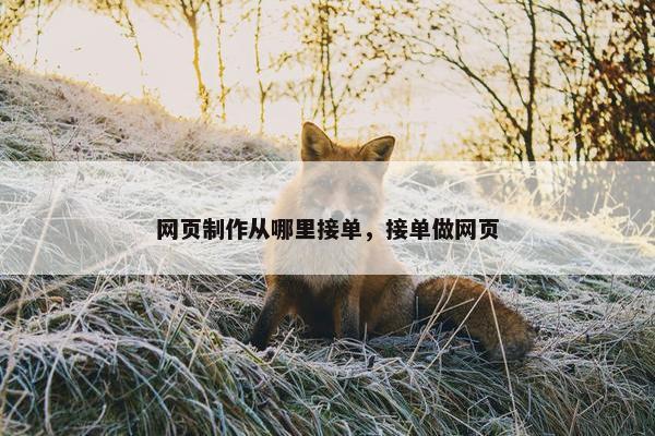网页制作从哪里接单，接单做网页