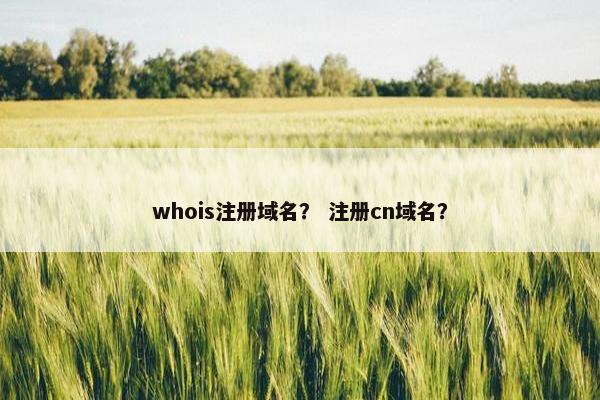 whois注册域名？ 注册cn域名？