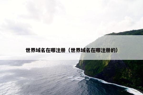 世界域名在哪注册（世界域名在哪注册的）