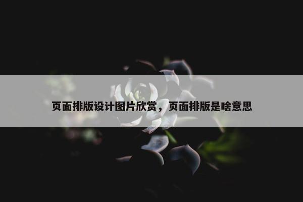 页面排版设计图片欣赏，页面排版是啥意思