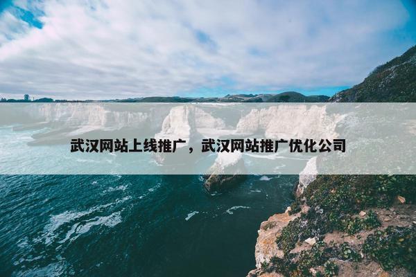 武汉网站上线推广，武汉网站推广优化公司
