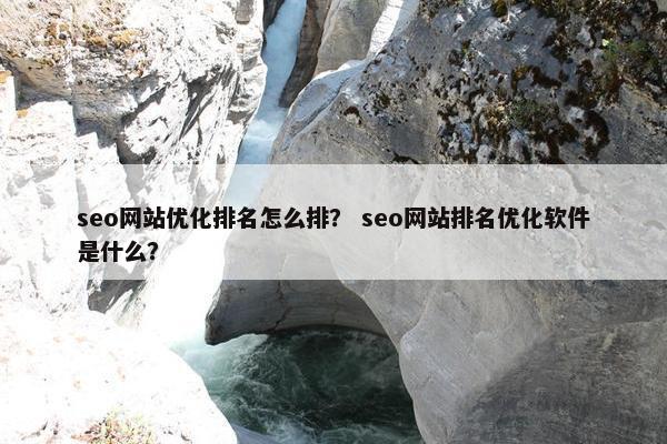 seo网站优化排名怎么排？ seo网站排名优化软件是什么？