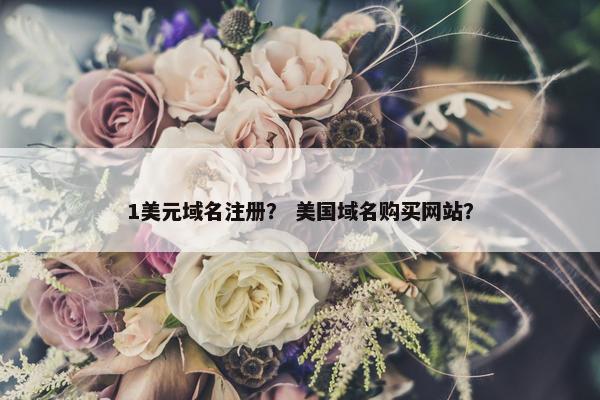 1美元域名注册？ 美国域名购买网站？