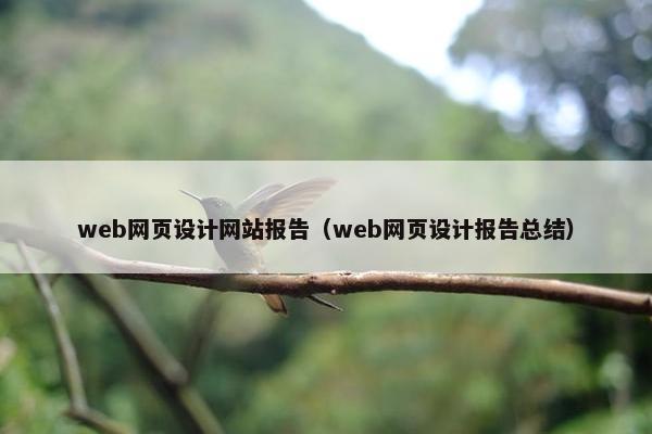 web网页设计网站报告（web网页设计报告总结）