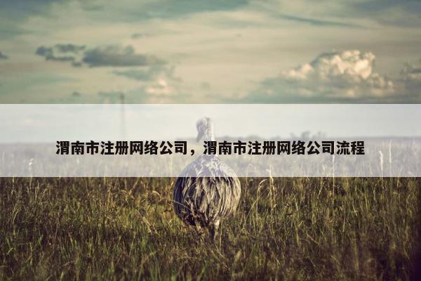 渭南市注册网络公司，渭南市注册网络公司流程