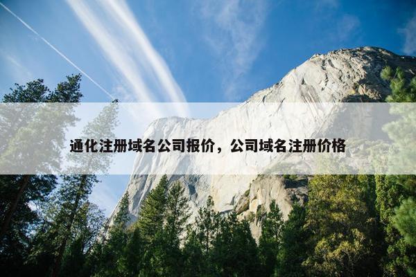 通化注册域名公司报价，公司域名注册价格