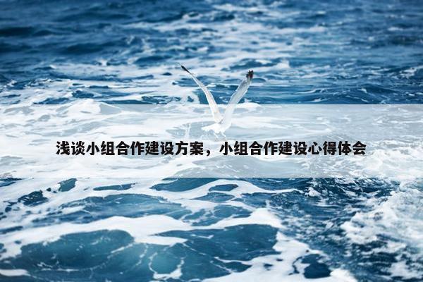 浅谈小组合作建设方案，小组合作建设心得体会