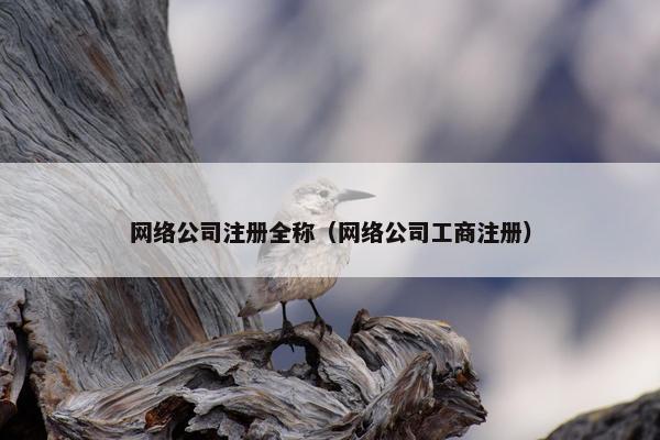 网络公司注册全称（网络公司工商注册）