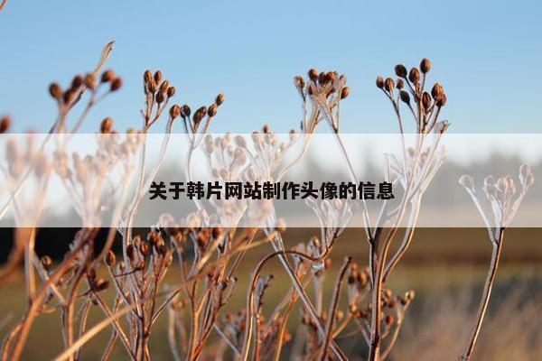 关于韩片网站制作头像的信息
