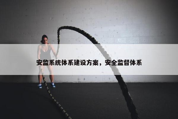 安监系统体系建设方案，安全监督体系