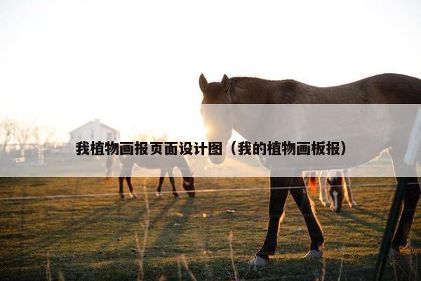 我植物画报页面设计图（我的植物画板报）