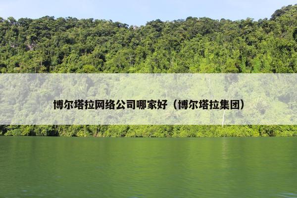 博尔塔拉网络公司哪家好（博尔塔拉集团）