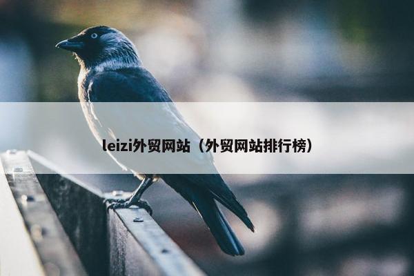 leizi外贸网站（外贸网站排行榜）