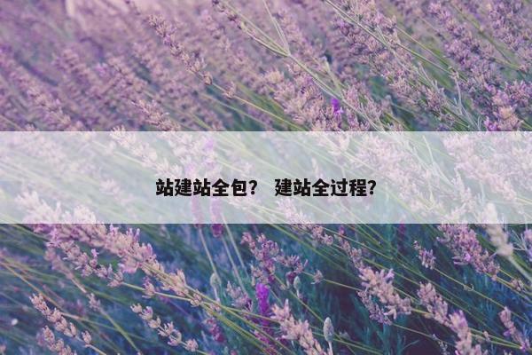 站建站全包？ 建站全过程？
