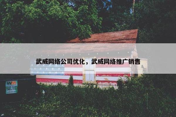武威网络公司优化，武威网络推广销售