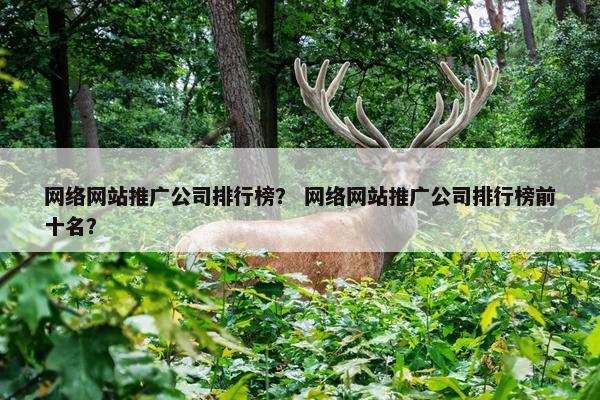 网络网站推广公司排行榜？ 网络网站推广公司排行榜前十名？