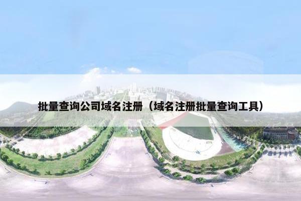 批量查询公司域名注册（域名注册批量查询工具）
