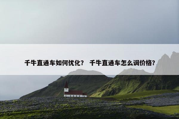 千牛直通车如何优化？ 千牛直通车怎么调价格？