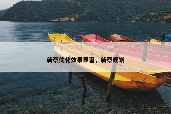 新蔡优化效果显著，新蔡规划