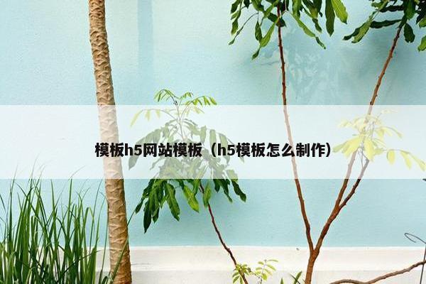 模板h5网站模板（h5模板怎么制作）