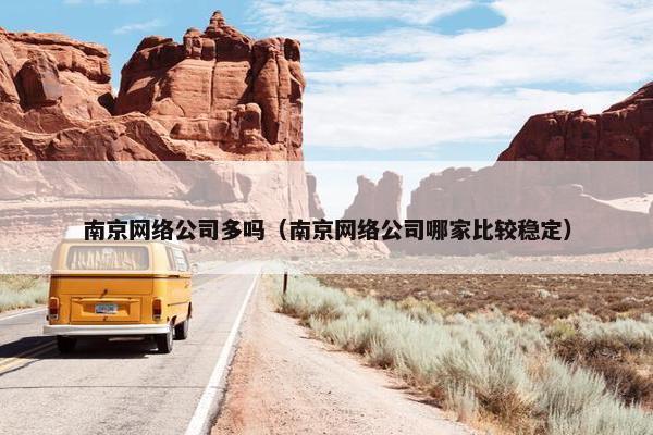 南京网络公司多吗（南京网络公司哪家比较稳定）