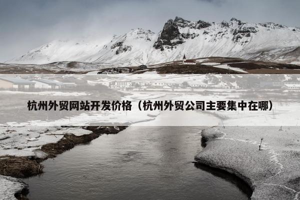 杭州外贸网站开发价格（杭州外贸公司主要集中在哪）