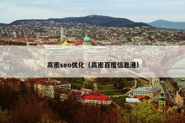 高密seo优化（高密百度信息港）