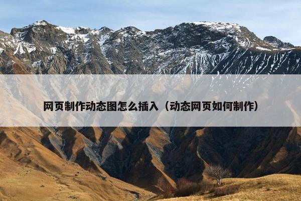 网页制作动态图怎么插入（动态网页如何制作）