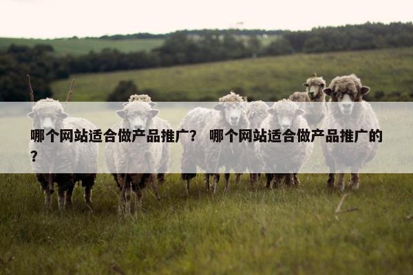 哪个网站适合做产品推广？ 哪个网站适合做产品推广的？