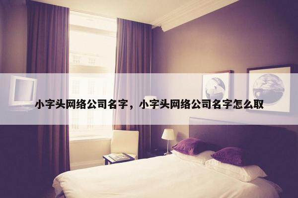 小字头网络公司名字，小字头网络公司名字怎么取