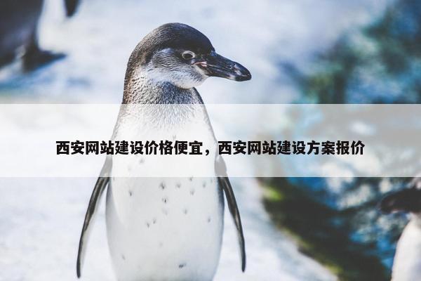 西安网站建设价格便宜，西安网站建设方案报价