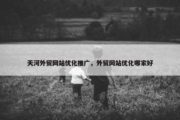 天河外贸网站优化推广，外贸网站优化哪家好