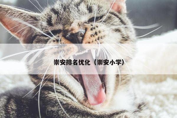 崇安排名优化（崇安小学）