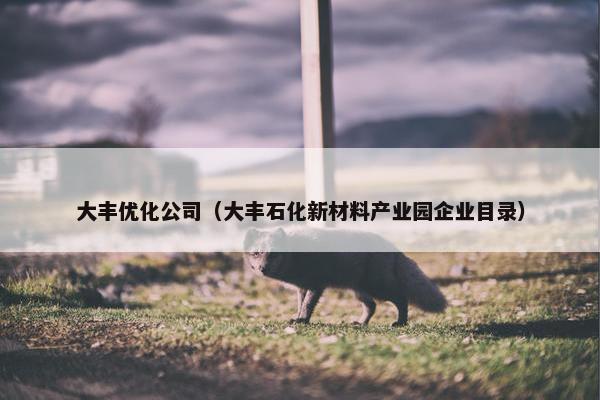 大丰优化公司（大丰石化新材料产业园企业目录）