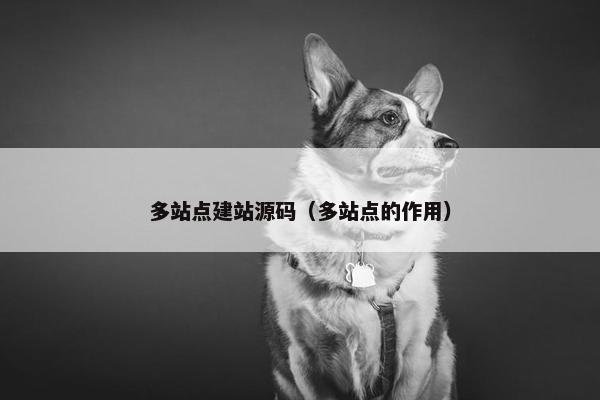 多站点建站源码（多站点的作用）