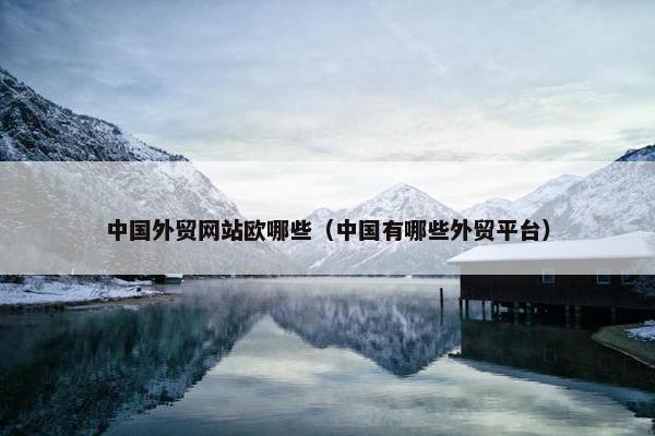 中国外贸网站欧哪些（中国有哪些外贸平台）