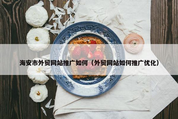 海安市外贸网站推广如何（外贸网站如何推广优化）
