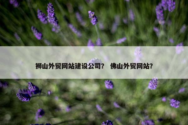 狮山外贸网站建设公司？ 佛山外贸网站？