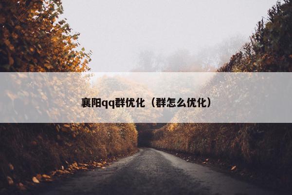 襄阳qq群优化（群怎么优化）