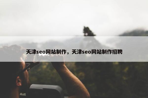 天津seo网站制作，天津seo网站制作招聘