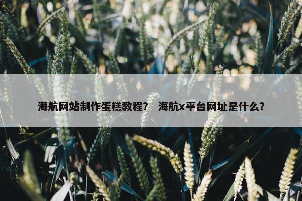 海航网站制作蛋糕教程？ 海航x平台网址是什么？