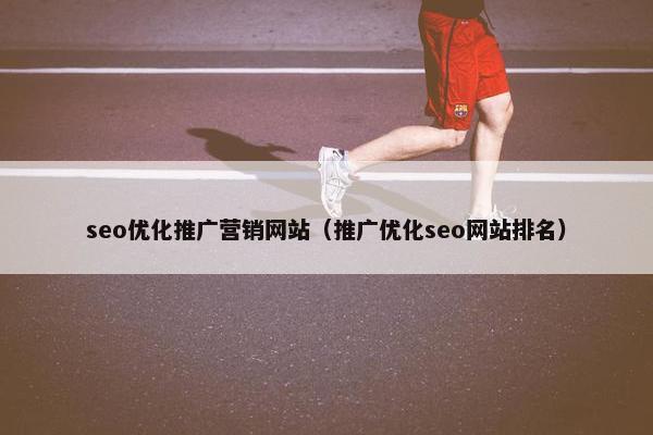 seo优化推广营销网站（推广优化seo网站排名）