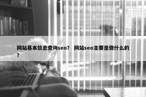 网站基本信息查询seo？ 网站seo主要是做什么的？