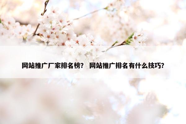 网站推广厂家排名榜？ 网站推广排名有什么技巧？