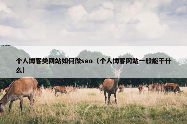 个人博客类网站如何做seo（个人博客网站一般能干什么）