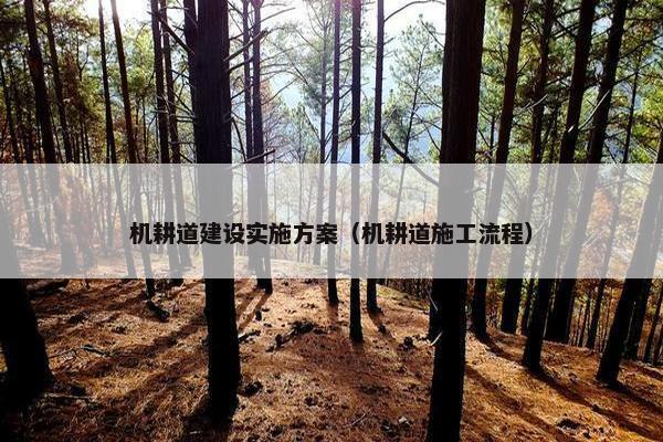 机耕道建设实施方案（机耕道施工流程）