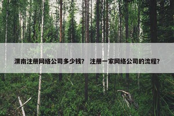 渭南注册网络公司多少钱？ 注册一家网络公司的流程？